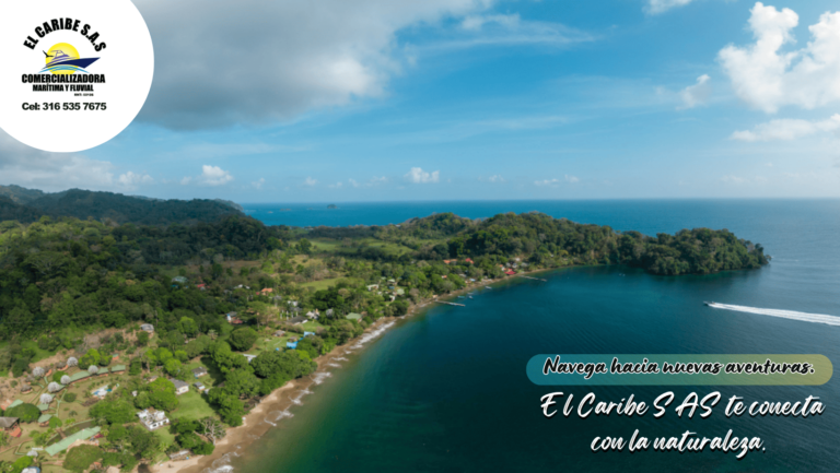 Publicidad 13 1 768x433