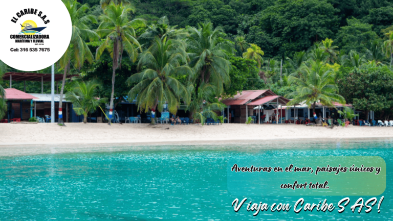 Publicidad C10 768x433