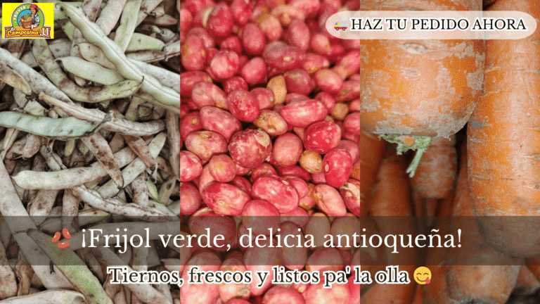 FIJOLES ANT 2 768x432