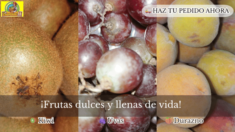 FRUTAS 1 1 768x432