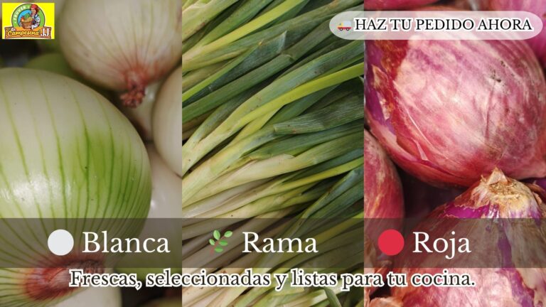 FRUVER NECOCLI 768x432