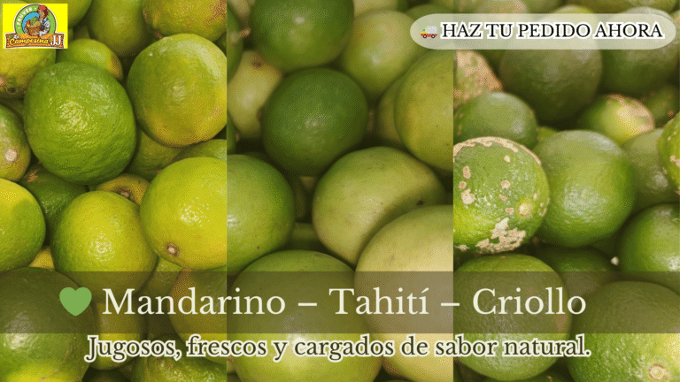 LIMONES OPCIONES 768x432