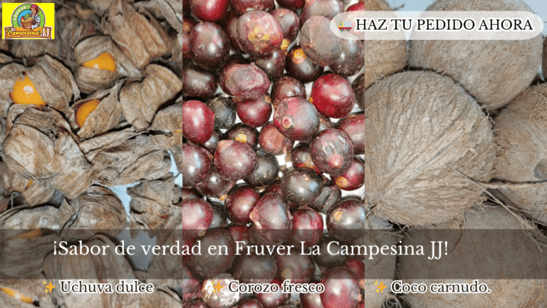 OCHUVA COROZO COCO 2 768x432