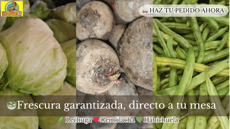 lechuga remolacha y habichuela 1 768x432