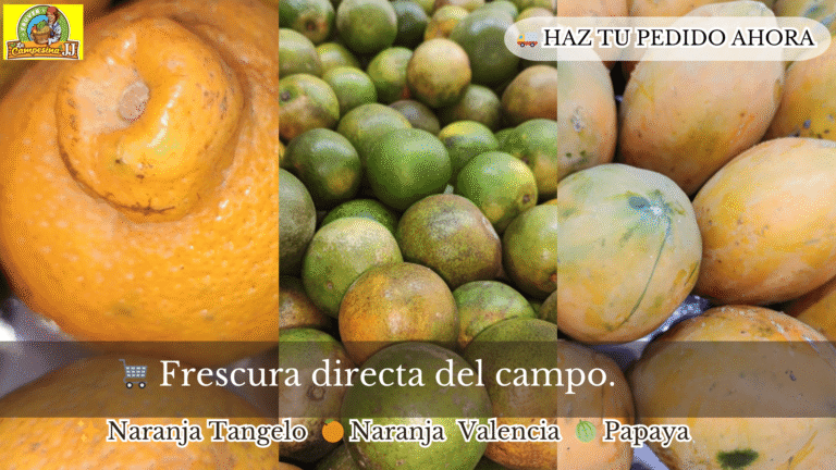 naranajas necocli 768x432