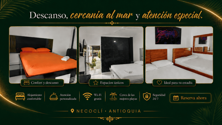 vaa12 1 1 768x432