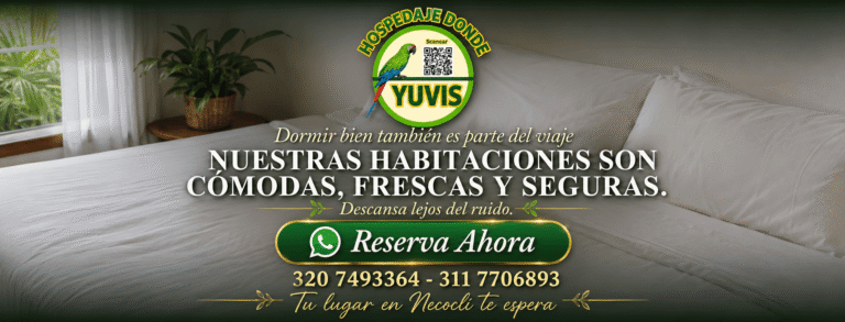 habitqaciones 1 1 768x293