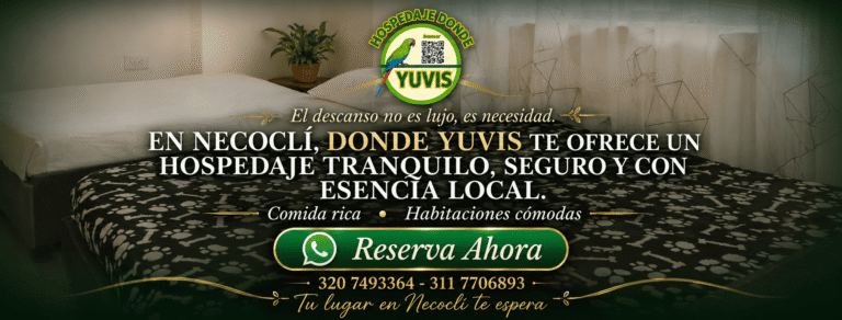imagen 1 768x292